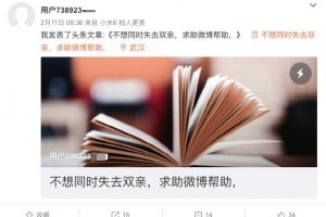 清明母亲石碑尚无名字一个武汉家庭的仓促离别