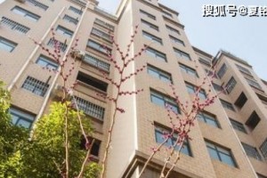 2020年买房选几楼专家直言只有这三层才值得买